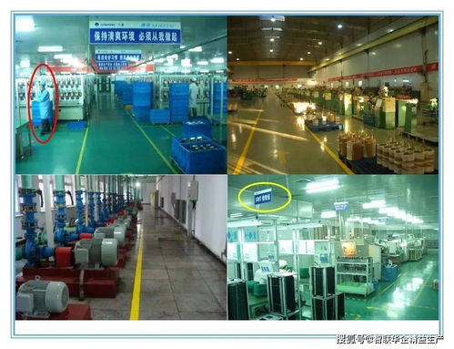 工廠6S與目視化管理 人手一份的卓越運(yùn)營(yíng)指南